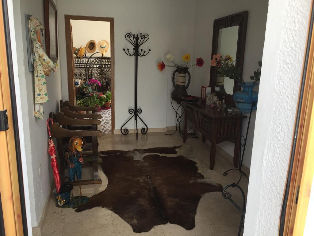 Hotel Esperanza Torrevieja Zewnętrze zdjęcie